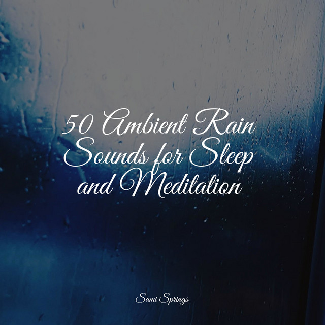 50 Ambient Rain Sounds for Sleep and Meditation - Album by Baby Sweet ...