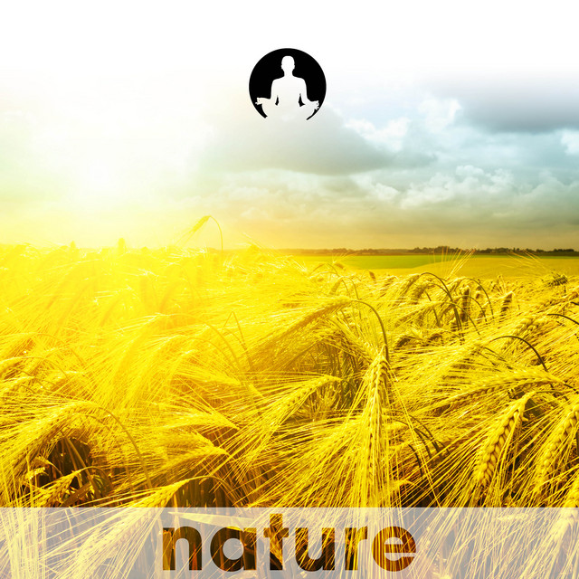 Organic Experience cover art