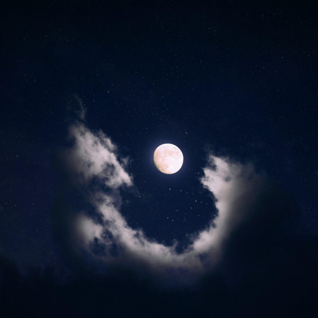 Lunar cover art