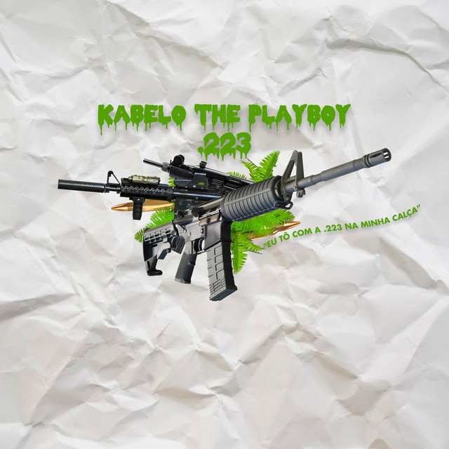 .223 cover art