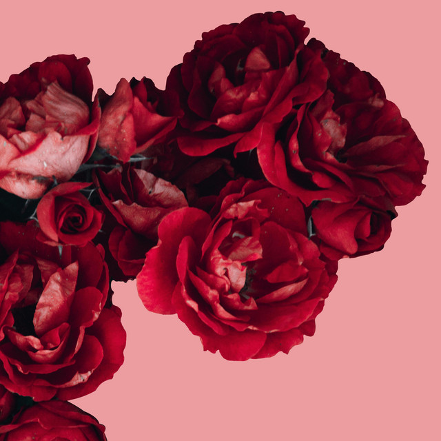 Bouquet cover art