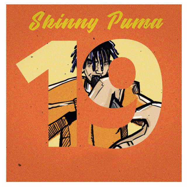 19 cover art