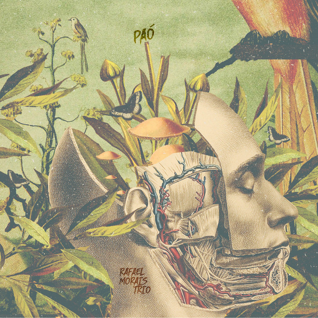 Paó cover art