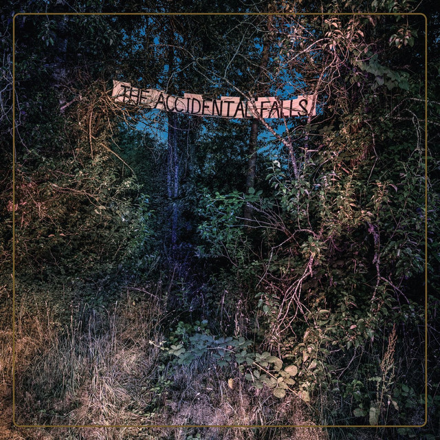 The Accidental Falls cover art