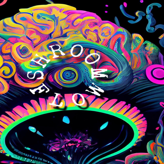 shroom flo cover art