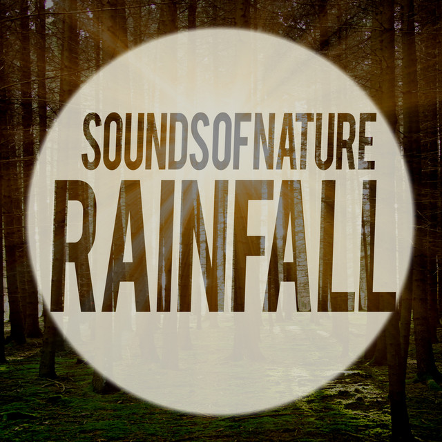 Sounds of Nature: Rainfall cover art