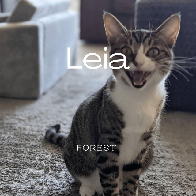 Leia cover art