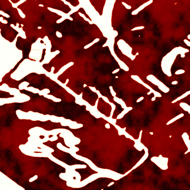 B R B R K R K R cover art