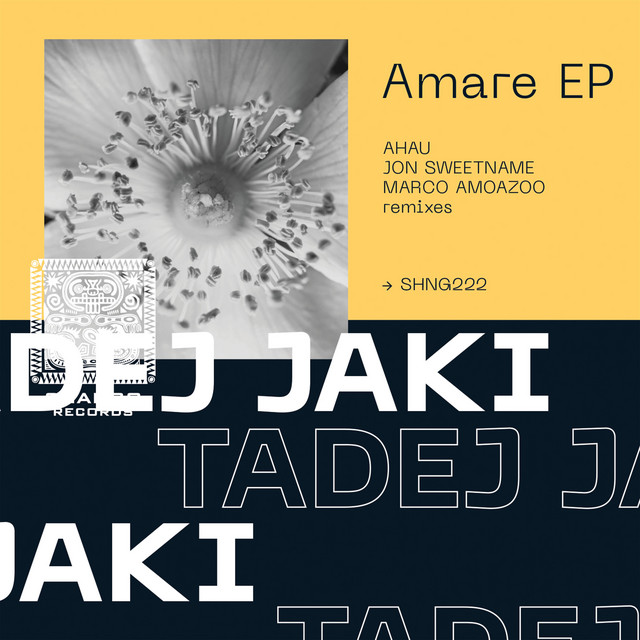 Armani - Marco Amoazoo remix album art