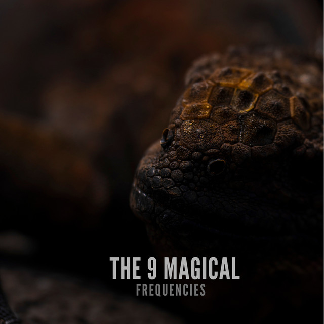 The 9 Magical Frequencies cover art