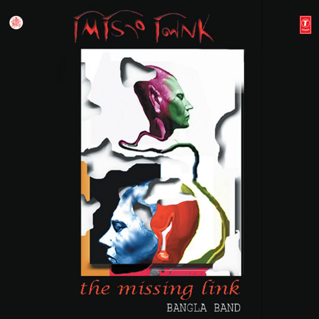 The Missing Link cover art