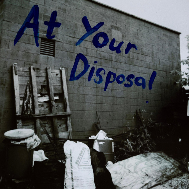 At Your Disposal cover