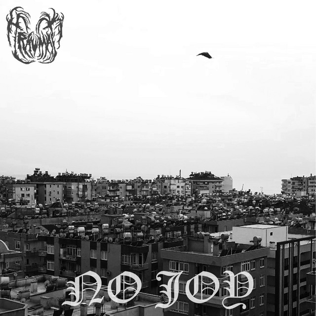 No Joy cover art