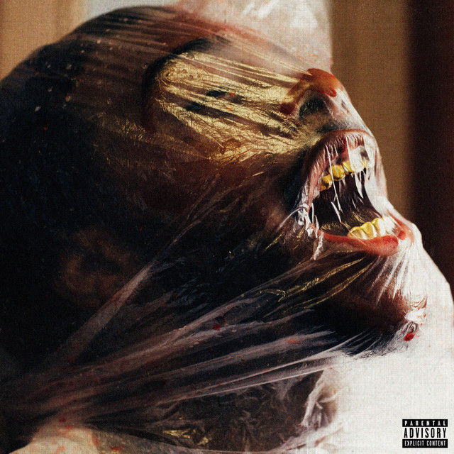 NEW DREAM cover art
