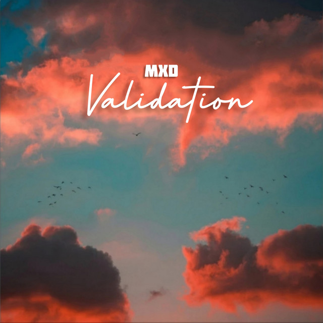 Validation cover art