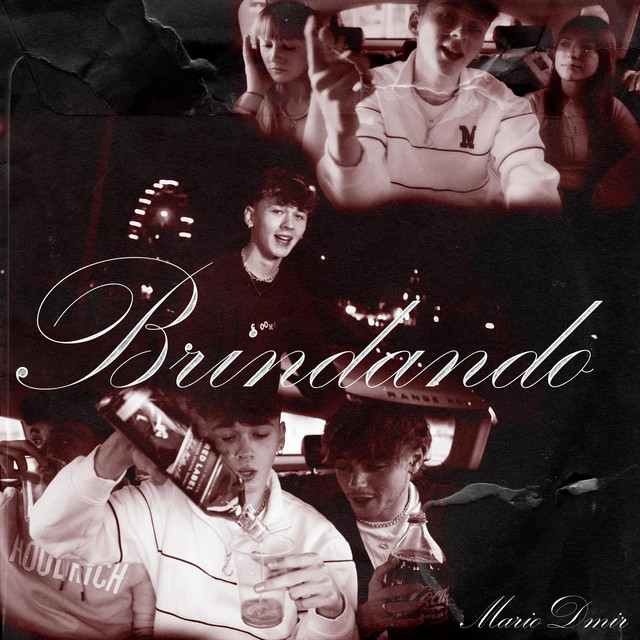 Brindando cover art