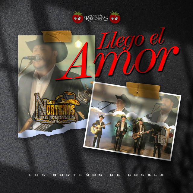 Llego El Amor album image