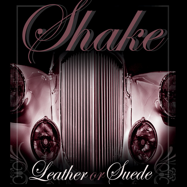 Leather or Suede cover art