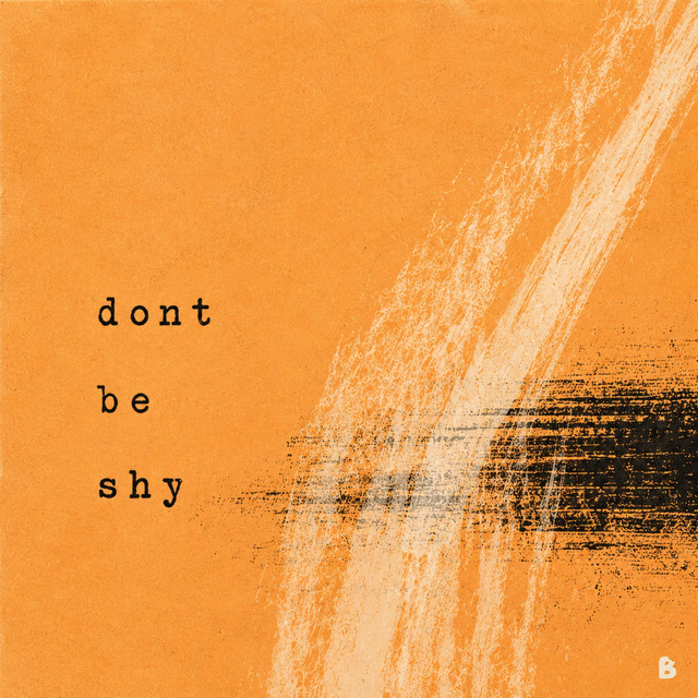 Dont Be Shy album image