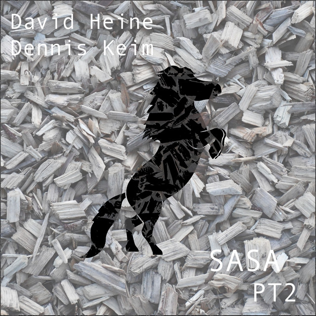 Обкладинка David Heine — Sasa, Pt. 2
