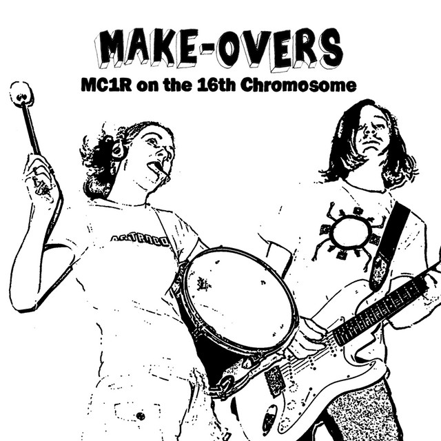 MC1R on the 16th Chromosome cover