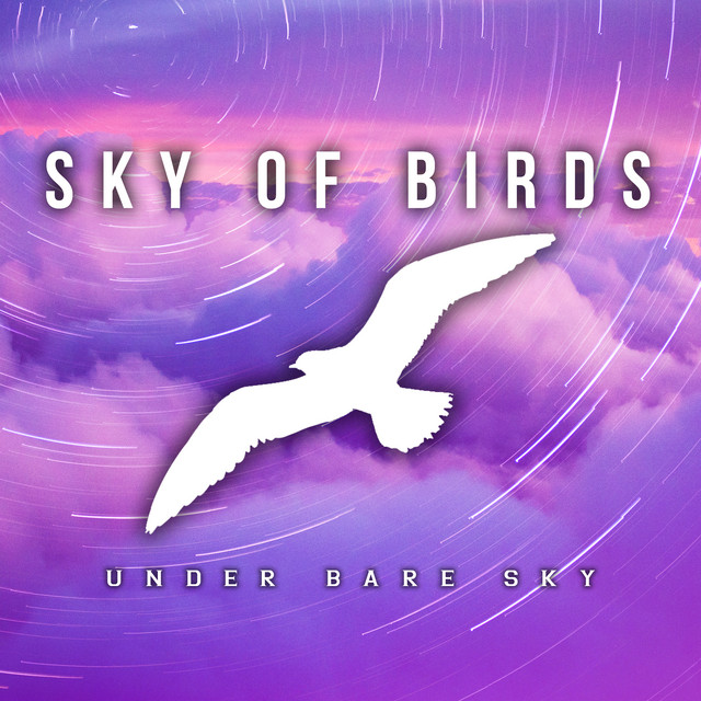 Sky of Birds cover art