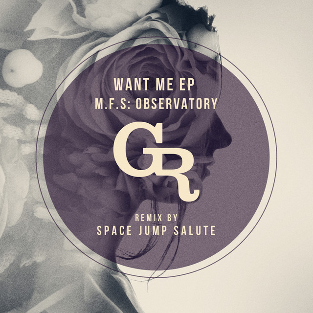 Want Me - Space Jump Salute Remix cover art