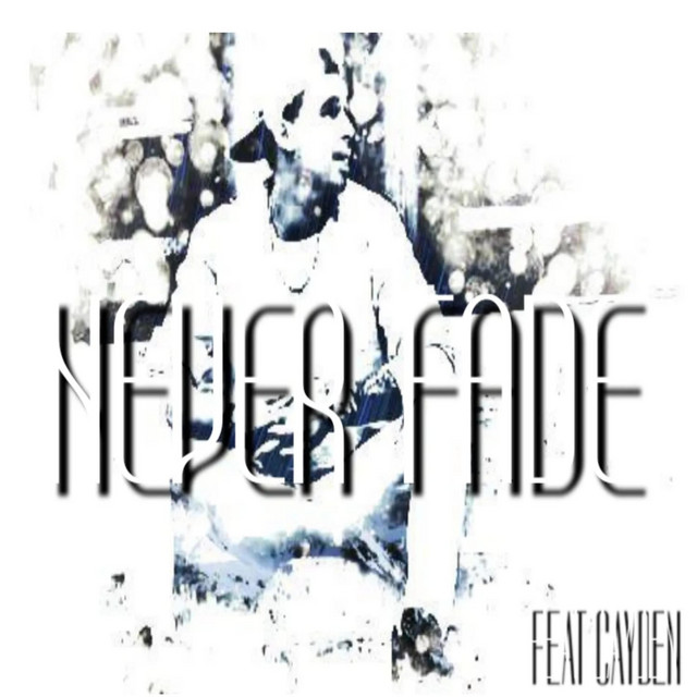 Never Fade - Single by 2fly Ty | Spotify