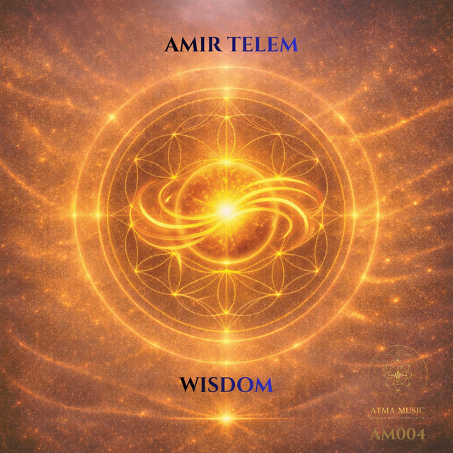 Обкладинка Amir Telem — Wisdom