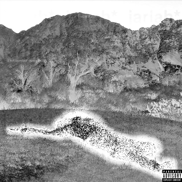 made it cover art