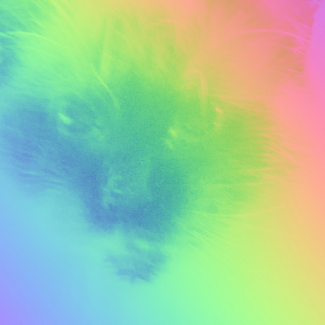 My Cat Can Still Smoke cover art