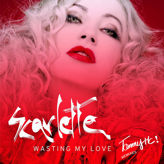 Wasting My Love (Tommy Mc Remixes) cover
