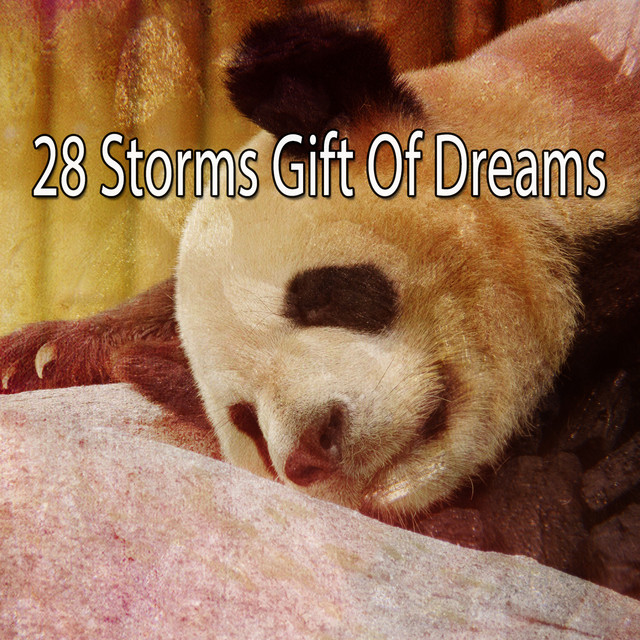 28 Storms Gift Of Dreams cover art