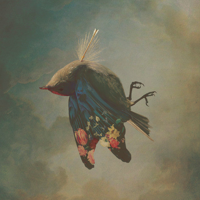 Splendere cover art