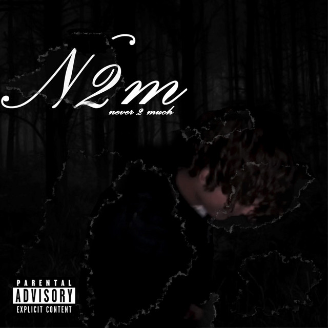n2m cover art