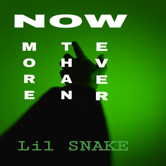 Lil Snake | Spotify
