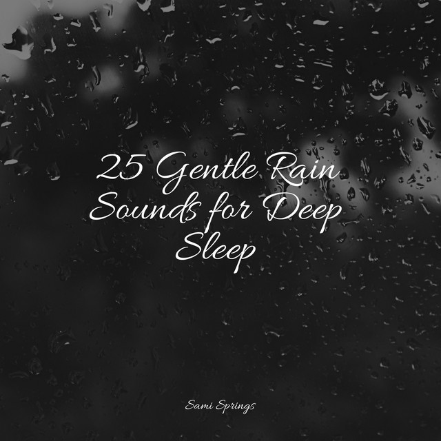 25 Gentle Rain Sounds for Deep Sleep - Album by Children's Music | Spotify