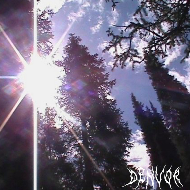 VOID cover art