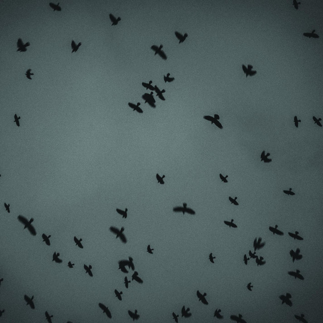 The Great Silence