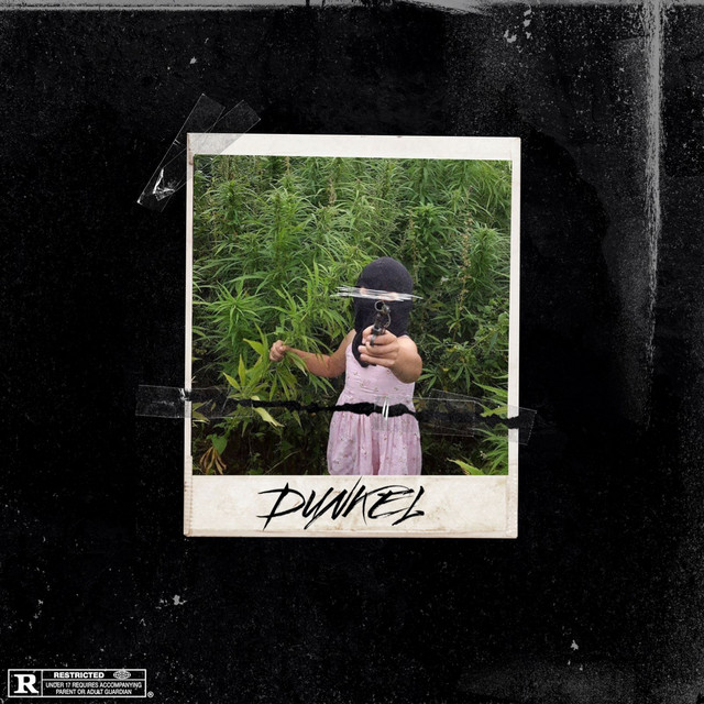 Dunkel cover art