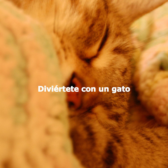 Diviértete con un gato cover art