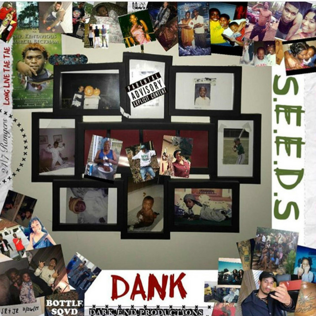 S.E.E.D.S cover art