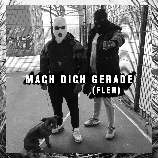 Mach dich gerade (Fler) cover