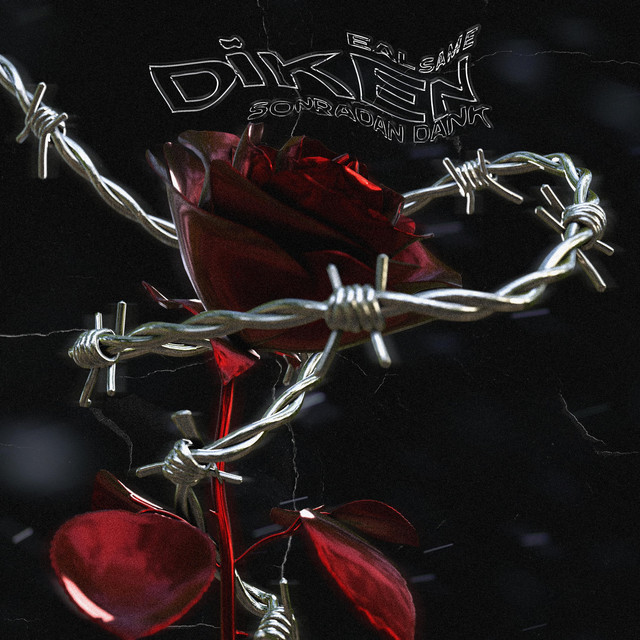 Diken cover art