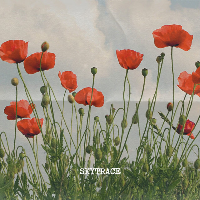 Skytrace cover art