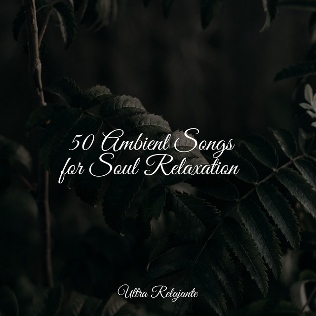 50 Ambient Songs for Soul Relaxation - Album by Baby Sleep Music | Spotify