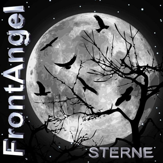 Sterne cover