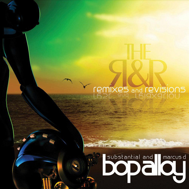 The R & R (Remixes & Revisions) cover art