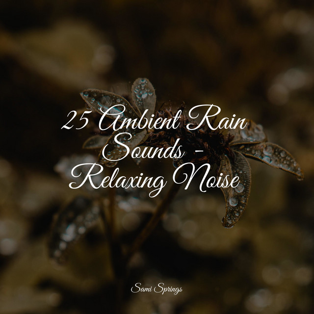 25 Amazing Rain and Nature Sounds - Album by Deep Sleep Meditation ...