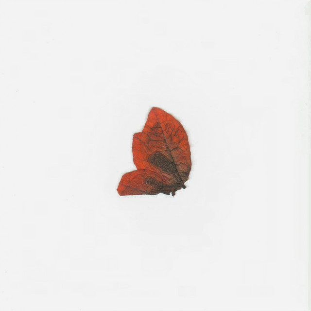 EQUINOX cover art